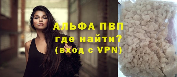 винт Лагань