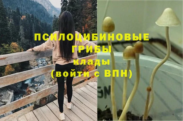 гидра Лабытнанги