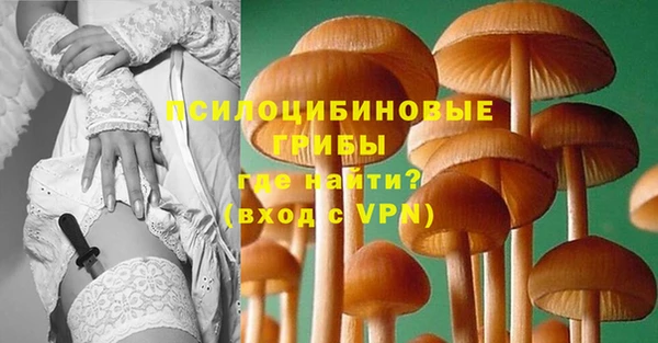 винт Лагань