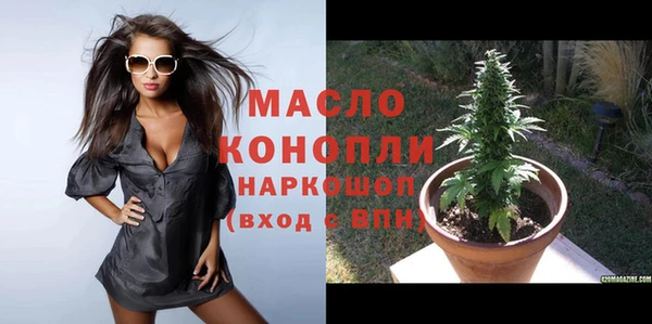 винт Лагань