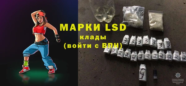 винт Лагань