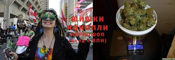 винт Лагань