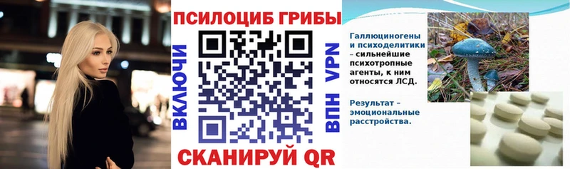 Галлюциногенные грибы Cubensis  Купить где  Всеволожск 